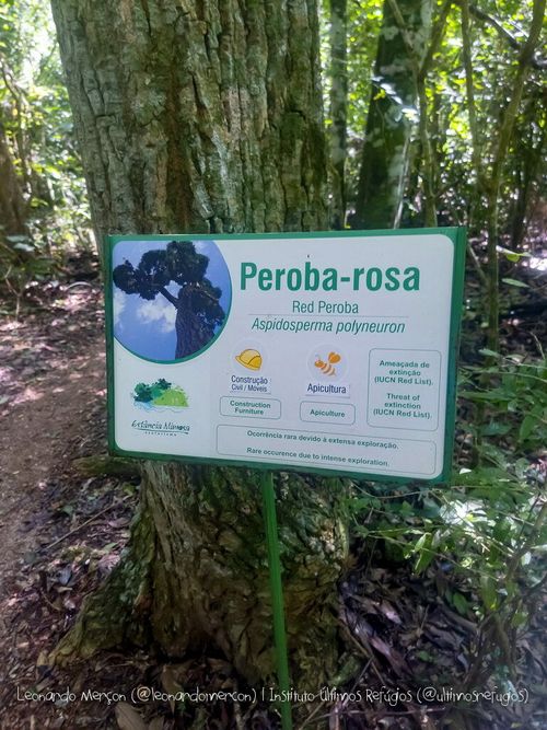 Propiedades físicas de la madera